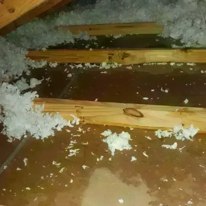 Attic Water Damage in Garnet, CA