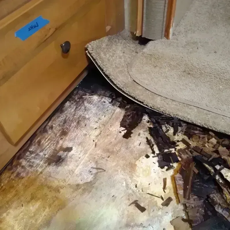 Wood Floor Water Damage in Garnet, CA